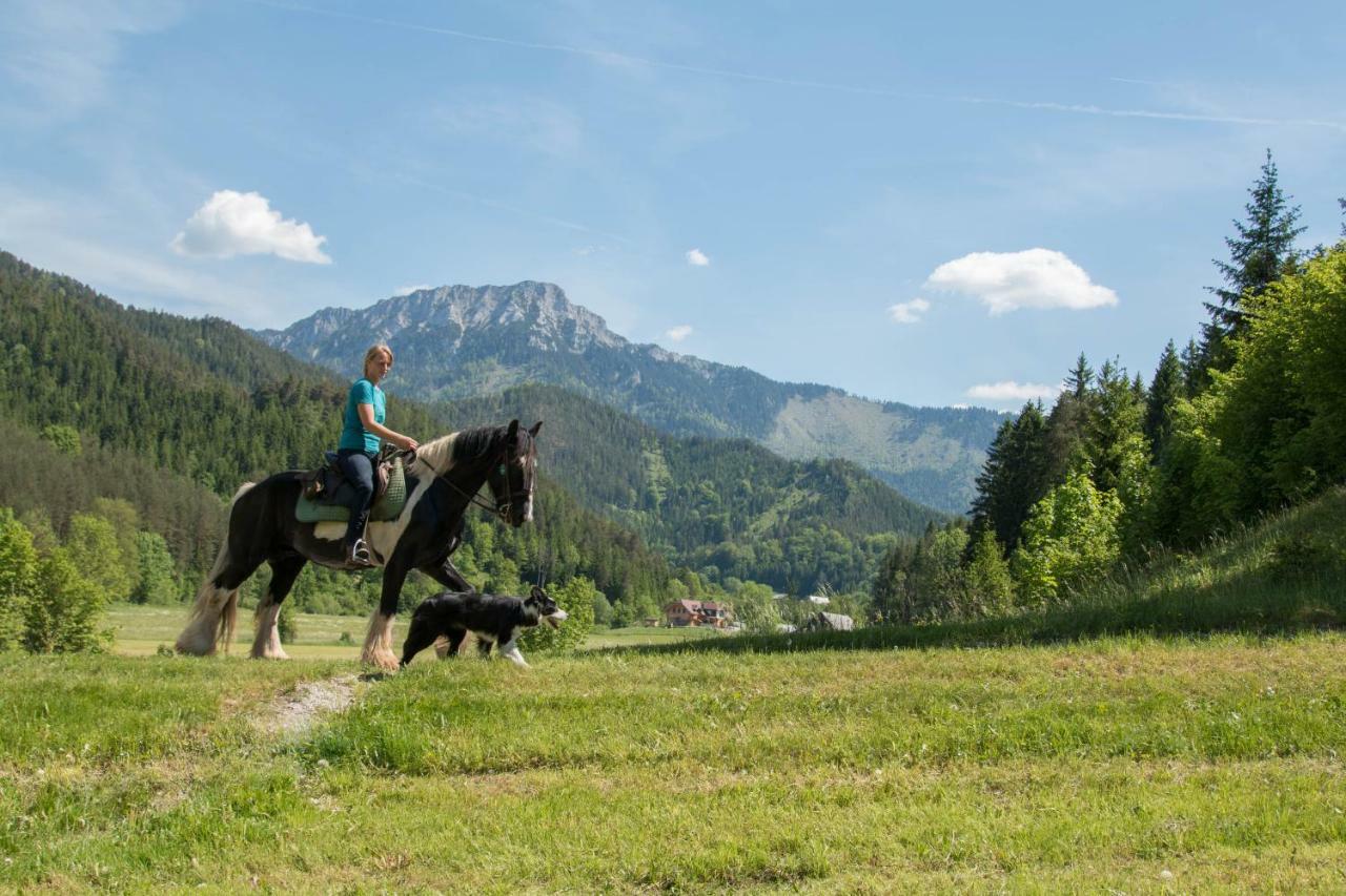 Reiterbauernhof Maho Villa Sankt Aegyd am Neuwalde Buitenkant foto