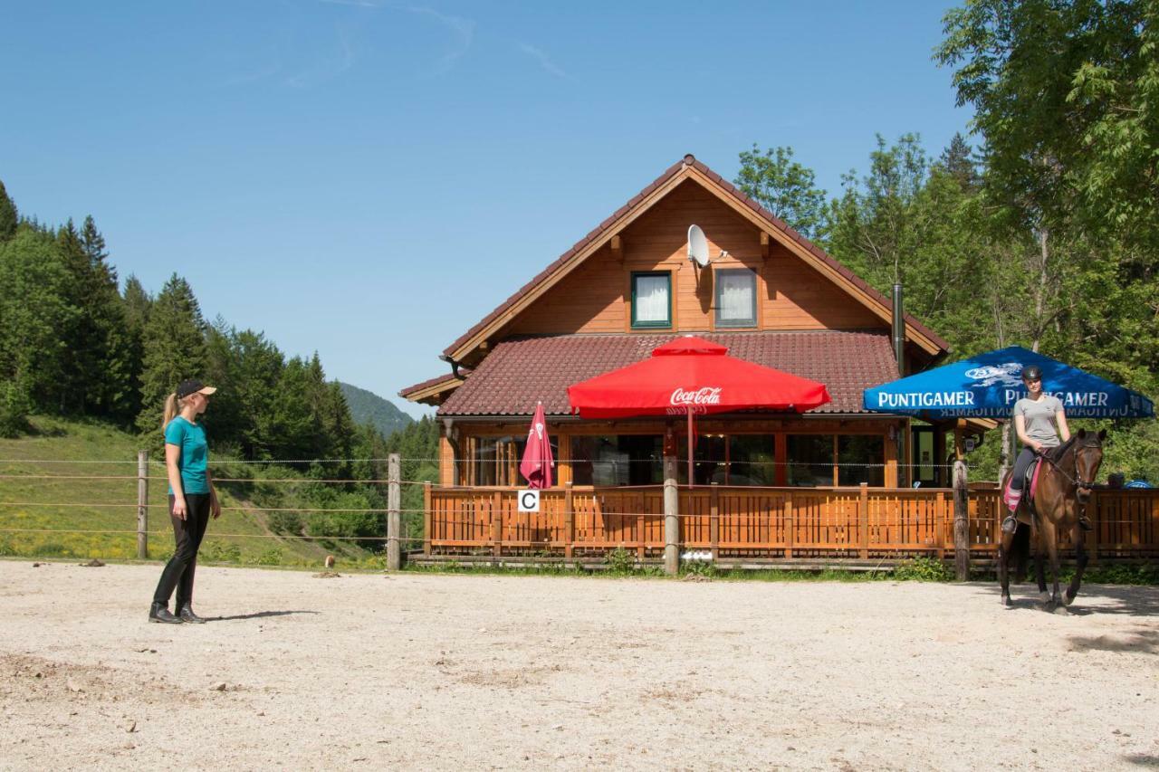 Reiterbauernhof Maho Villa Sankt Aegyd am Neuwalde Buitenkant foto