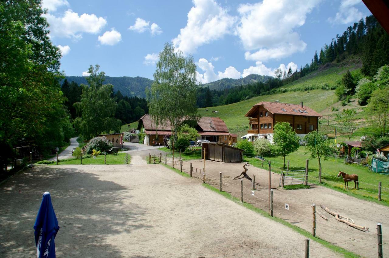 Reiterbauernhof Maho Villa Sankt Aegyd am Neuwalde Buitenkant foto